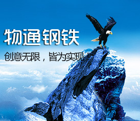 山东物通钢铁有限公司